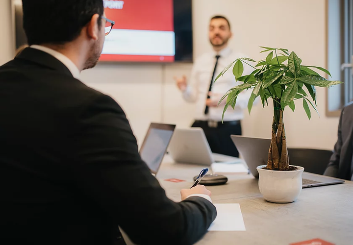 Training - Strategic Consultations